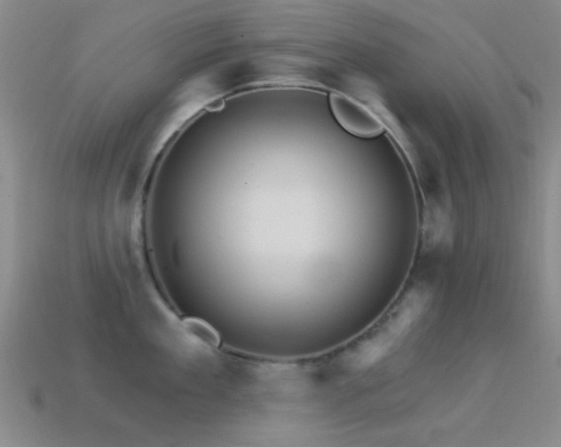 X0000114400909200910161312