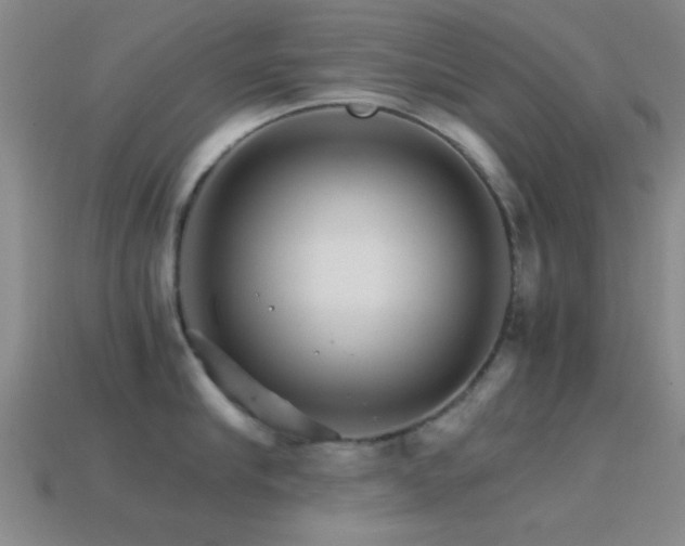 X0000114400910200910161312