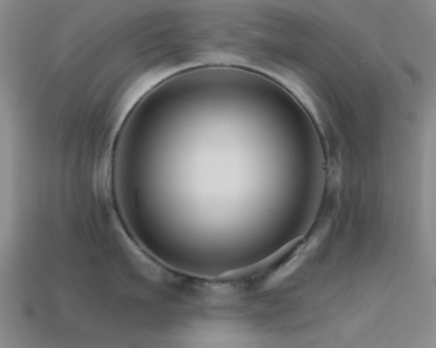 X0000114400911200910161312