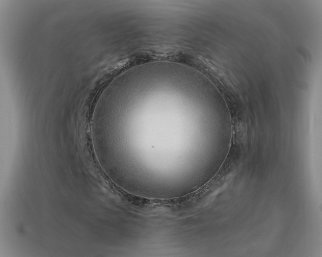 X0000114400913200910161312