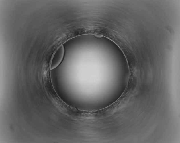 X0000114400914200910161312