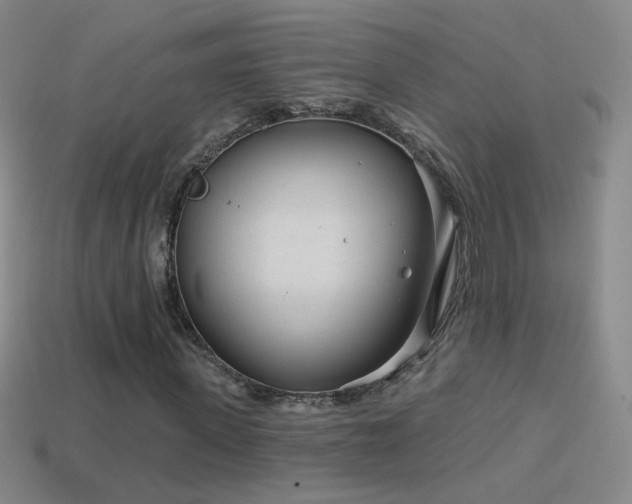 X0000114400915200910161312