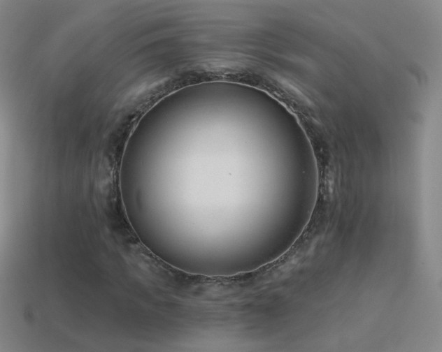 X0000114400917200910161312