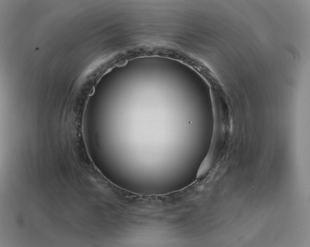 X0000114400919200910161312