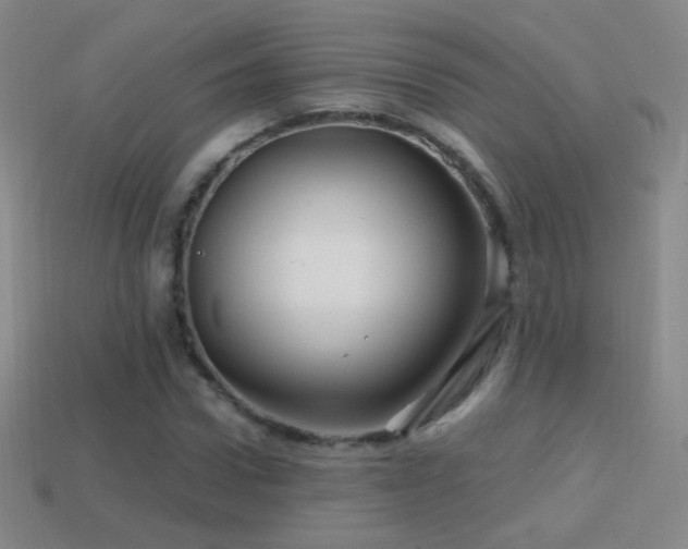 X0000114400922200910161312