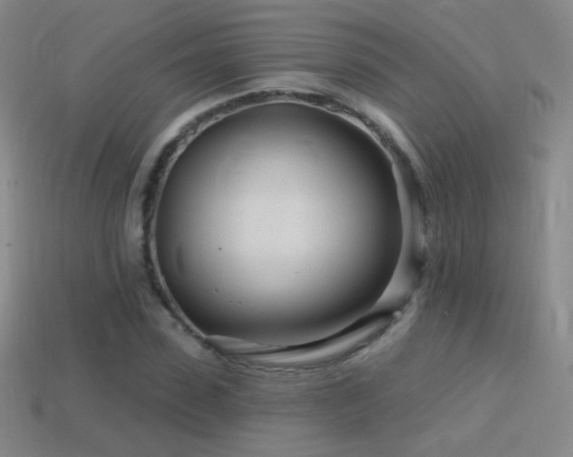 X0000114400923200910161312