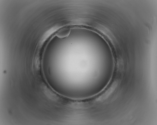 X0000114400925200910161312