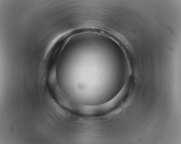 X0000114400926200910161312