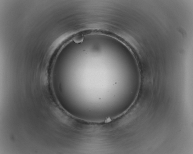 X0000114400927200910161312