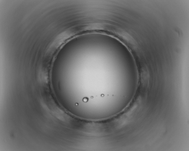 X0000114400929200910161312