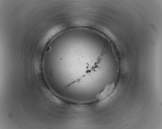 X0000114400930200910161312