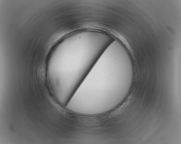 X0000114400931200910161312