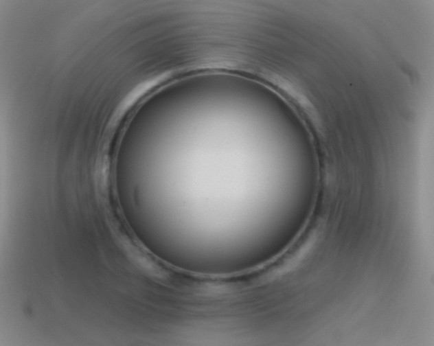 X0000114400933200910161312