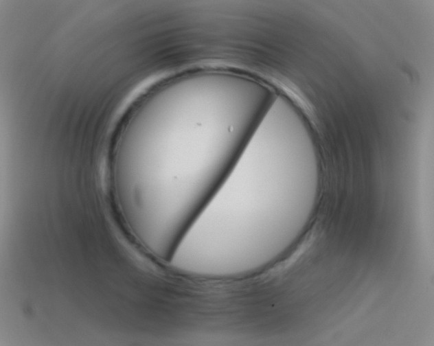 X0000114400934200910161312