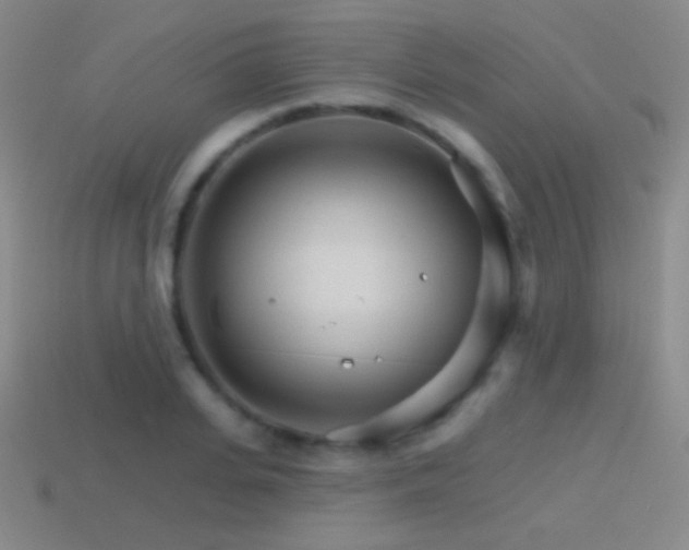 X0000114400935200910161312