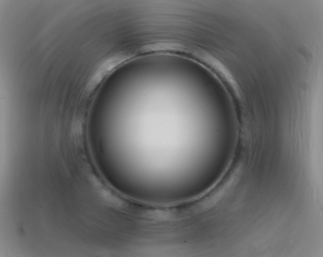 X0000114400937200910161312