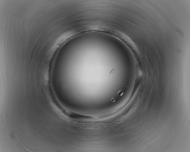 X0000114400938200910161312