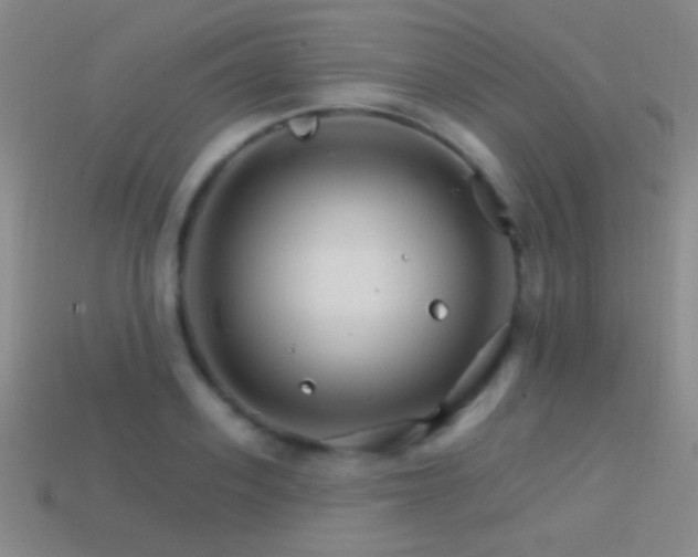 X0000114400939200910161312