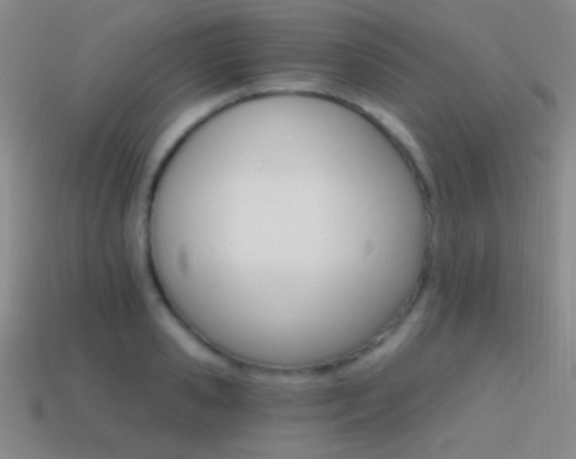 X0000114400941200910161312