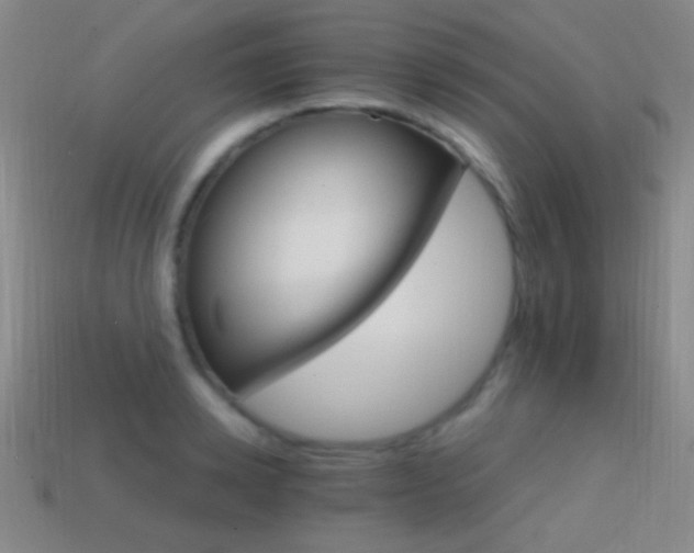 X0000114400942200910161312