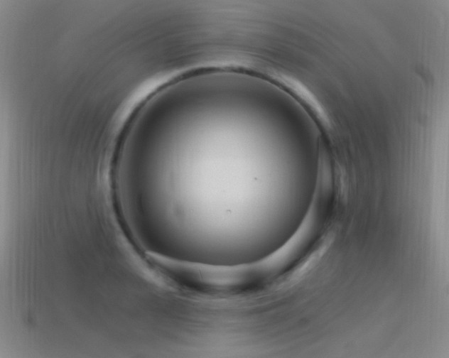 X0000114400943200910161312