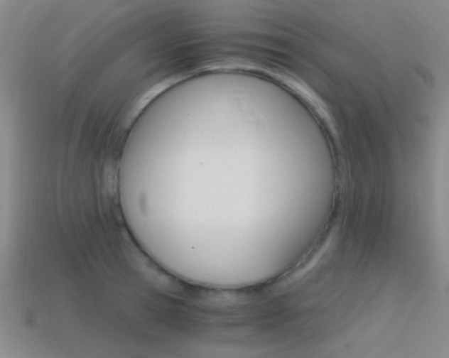 X0000114400945200910161312