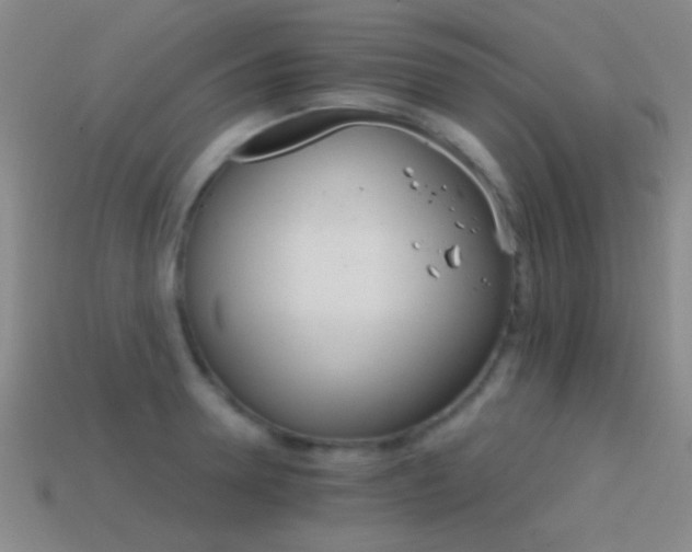 X0000114400946200910161312