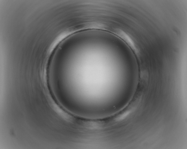 X0000114400947200910161312