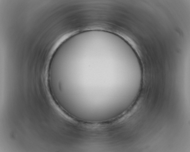 X0000114400949200910161312