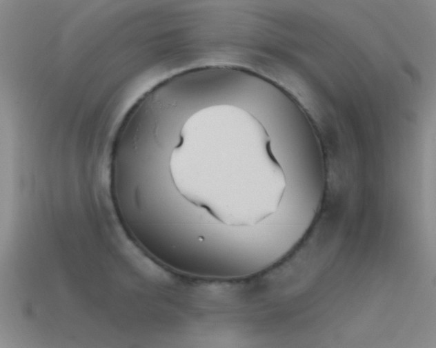 X0000114400950200910161312