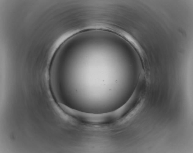 X0000114400951200910161312