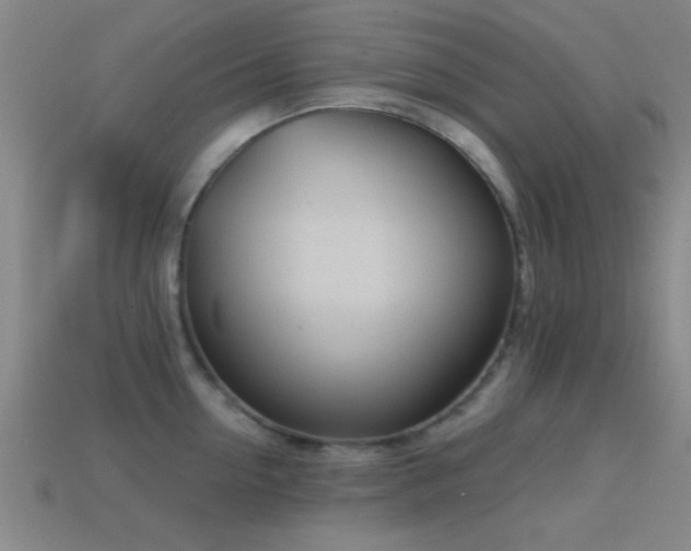 X0000114400954200910161312