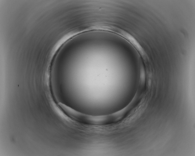 X0000114400955200910161312