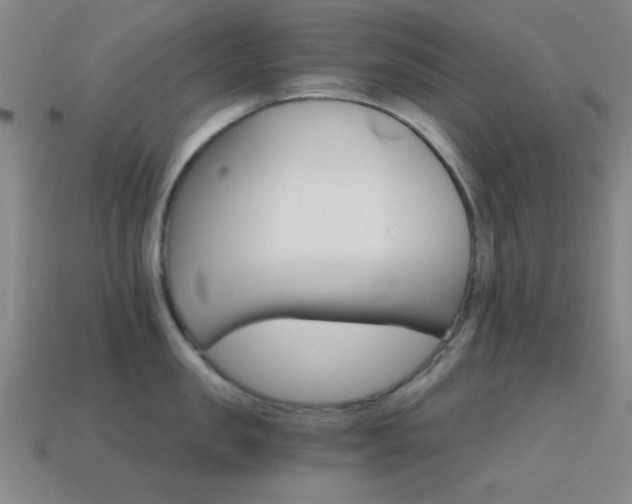 X0000114400957200910161312