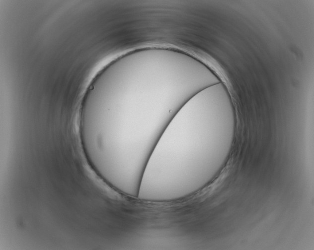 X0000114400958200910161312