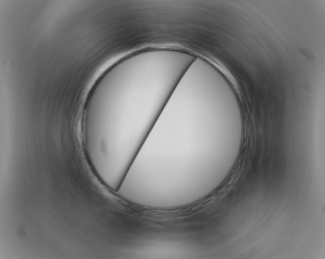 X0000114400959200910161312