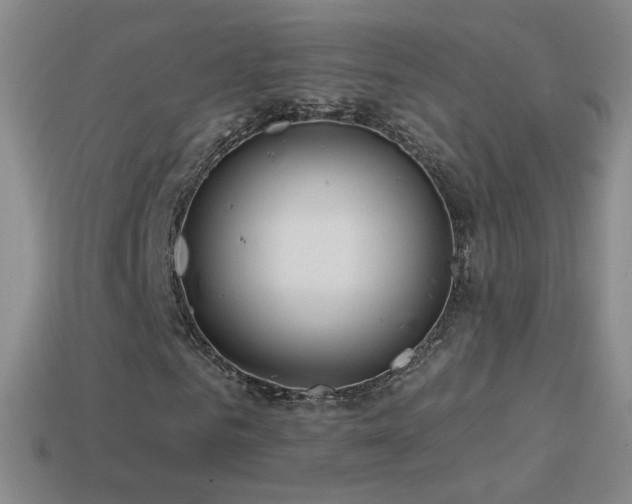 X0000114400961200910161312