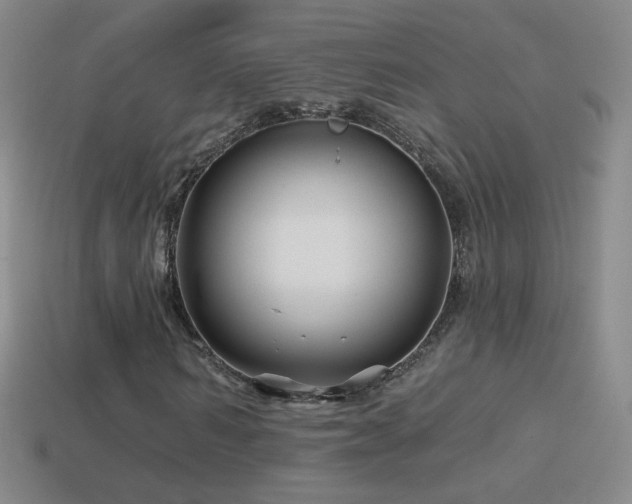 X0000114400962200910161312