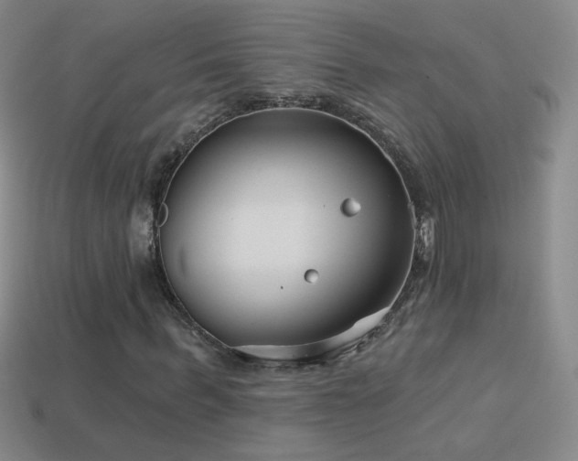 X0000114400963200910161312