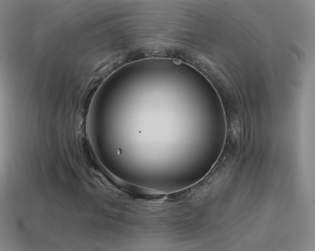 X0000114400964200910161312