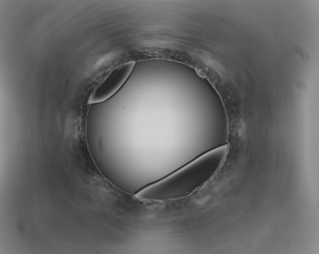 X0000114400965200910161312