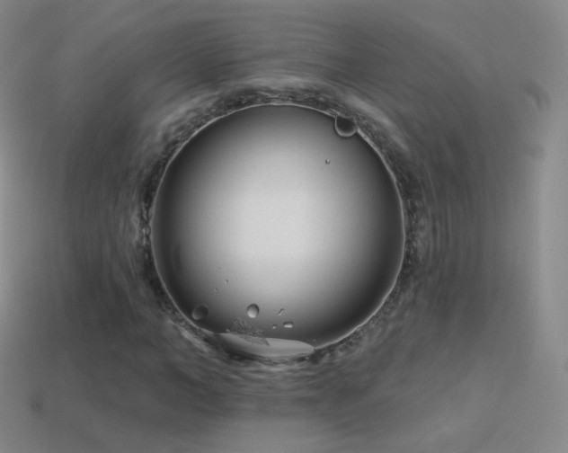 X0000114400966200910161312