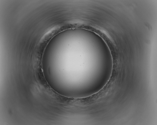 X0000114400967200910161312