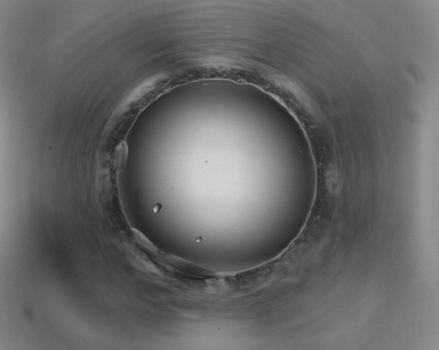 X0000114400968200910161312