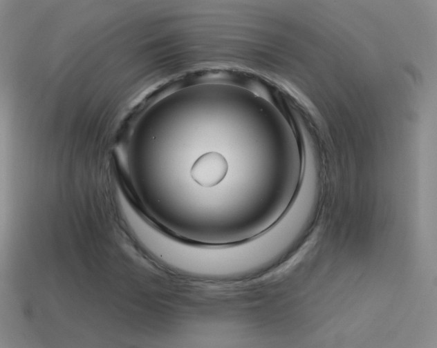 X0000114400969200910161312