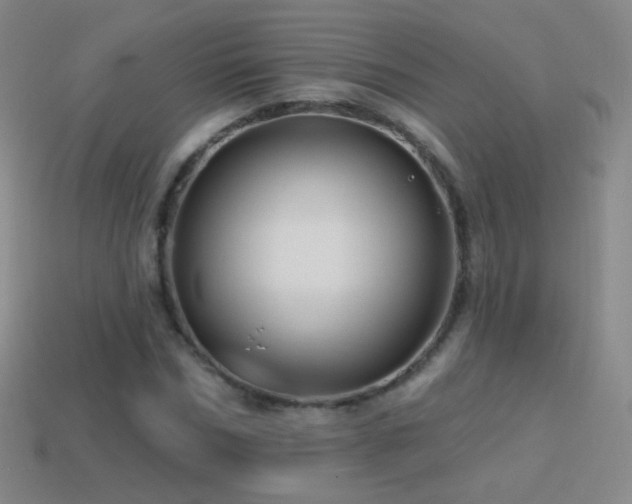 X0000114400970200910161312