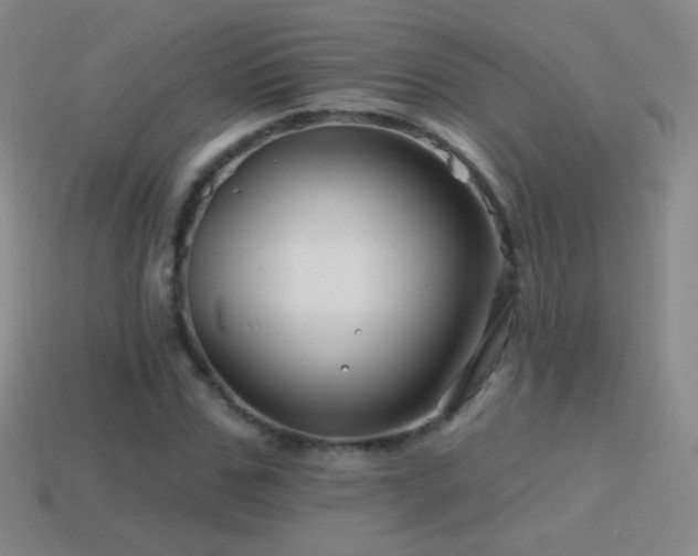 X0000114400971200910161312