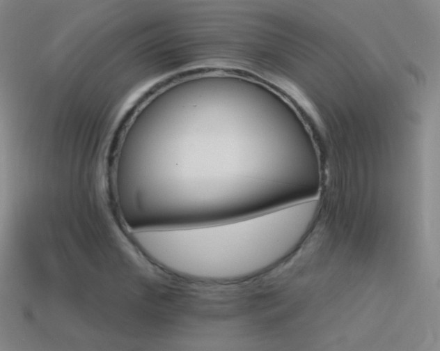 X0000114400972200910161312