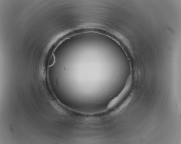 X0000114400973200910161312