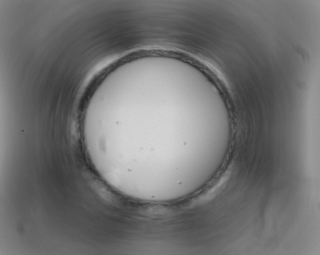 X0000114400974200910161312